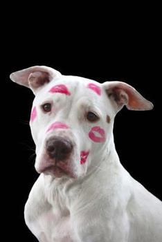 Paperback Pit Bull Love: 150 Lined Journal Pages / Diary / Notebook Featuring Lipstick Pit Bull Dog Love on the Cover Book