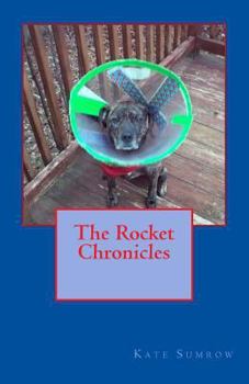 Paperback The Rocket Chronicles Book