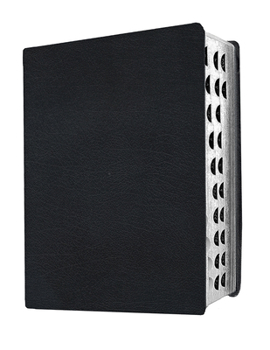 Imitation Leather Giant Print Bible-Mev [Large Print] Book