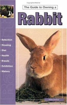 Paperback Guide to Owning a Rabbit Book