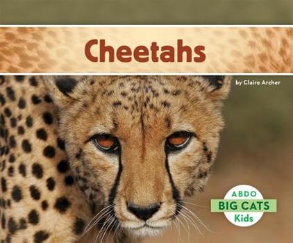 Cheetahs - Book  of the Big Cats