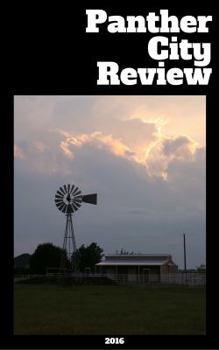 Paperback Panther City Review 2017 Book