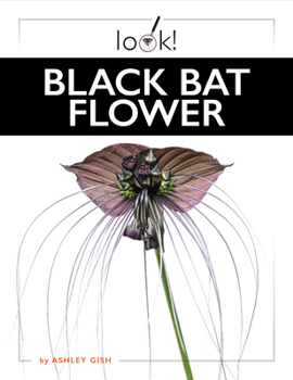 Library Binding Black Bat Flower Book