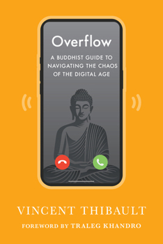 Paperback Overflow: A Buddhist Guide to Navigating the Chaos of the Digital Age Book
