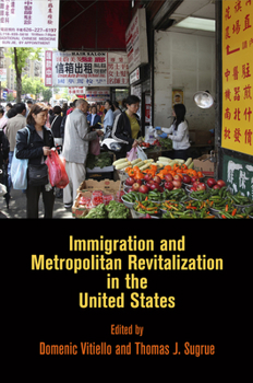 Immigration and Metropolitan Revitalization in the United States - Book  of the City in the Twenty-First Century