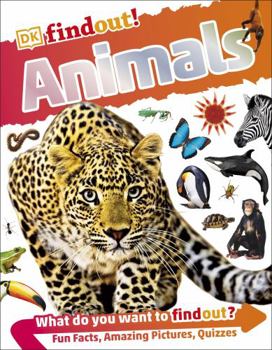 Paperback DKfindout! Animals Book