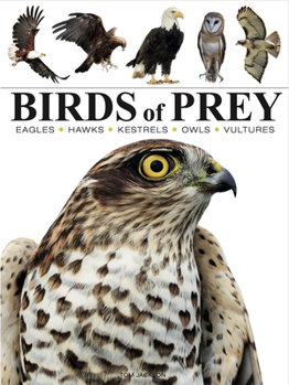 Paperback Birds of Prey: Stunning Photographs of the World's Great Hunting Birds Book