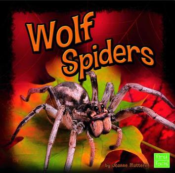 Hardcover Wolf Spiders Book