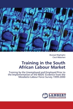 Paperback Training in the South African Labour Market Book