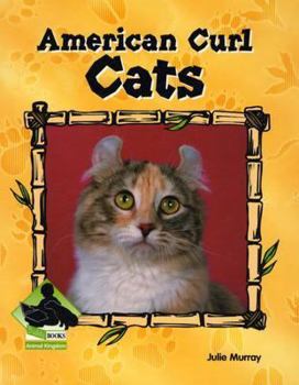 American Curl Cats - Book  of the Buddy Books