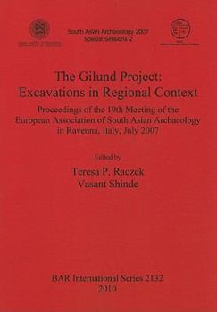 Paperback The Gilund Project: Excavations in Regional Context Book
