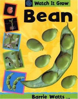 Library Binding Bean Book