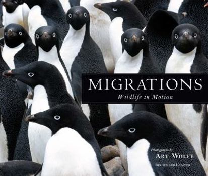 Hardcover Migrations: Wildlife in Motion Book