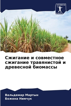 Paperback Сжигание и совместное сж [Russian] Book