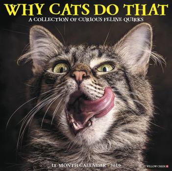 Calendar Why Cats Do That 2019 Wall Calendar Book