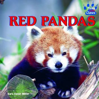 Library Binding Red Pandas Book