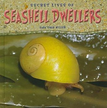 Library Binding Secret Lives of Seashell Dwellers Book