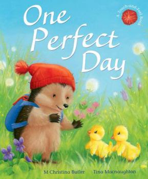 Paperback One Perfect Day (Little Hedgehog) Book