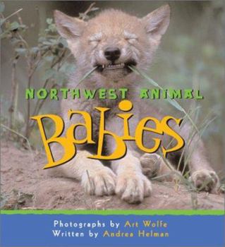 Hardcover Northwest Animal Babies Book
