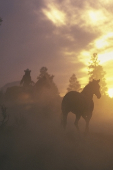 2020 Daily Planner Horse Photo Equine Herding Horses Sunset 388 Pages: 2020 Planners Calendars Organizers Datebooks Appointment Books Agendas