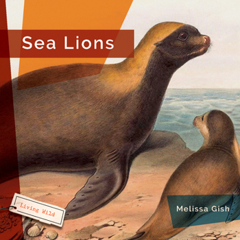 Paperback Sea Lions Book