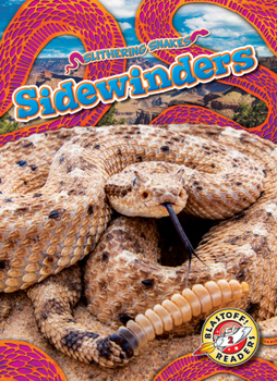 Library Binding Sidewinders Book