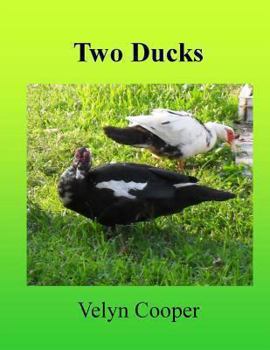 Paperback Two Ducks Book