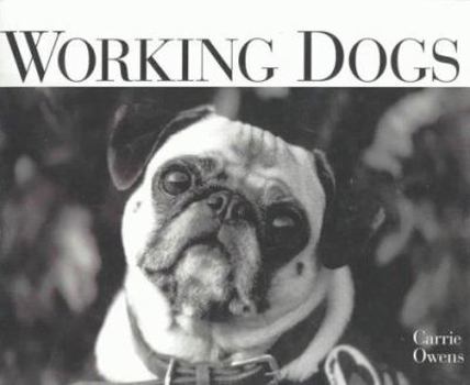 Hardcover Working Dogs Book