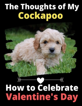 The Thoughts of My Cockapoo: How to Celebrate Valentine's Day