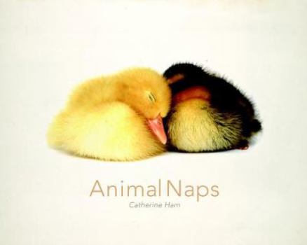 Hardcover Animal Naps Book
