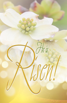 Loose Leaf Risen Easter Dogwood Bulletin (Pkg of 50) Book