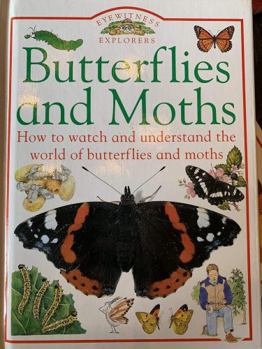 Butterflies and Moths (Eyewitness Explorers) - Book  of the Eyewitness Explorers