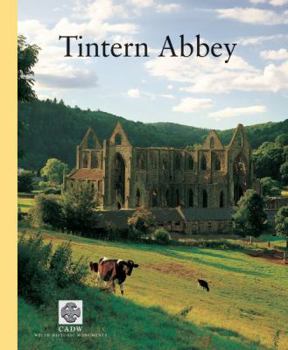 Tintern Abbey (CADW Guidebooks) - Book  of the CADW Guidebooks