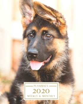 Paperback 2020: Weekly and Monthly Planner/Calendar Jan 2020 - Dec 2020 German Shephard Book