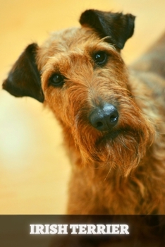 Paperback Irish Terrier: Complete breed guide Book