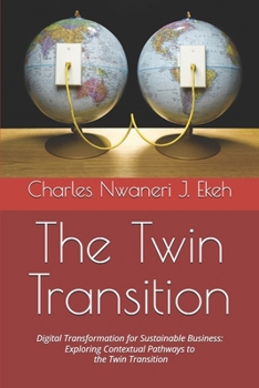 The Twin Transition: Digital Transformation for Sustainable Business: Exploring Contextual Pathways to the Twin Transition