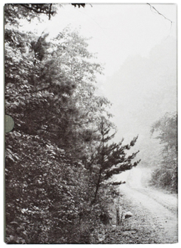 John Cage and William Gedney: Iris Garden