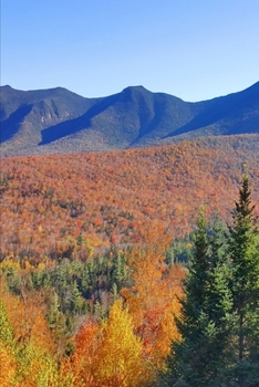 Mountain Peaks Evergreens Fall Foliage 2020 Weekly Planner 134 Pages: 2020 Planners Calendars Organizers Datebooks Appointment Books Agendas