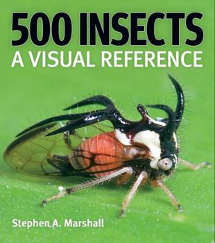 Hardcover 500 Insects: A Visual Reference Book