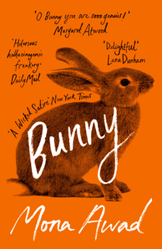 Paperback Bunny Book