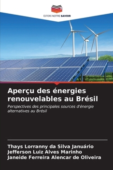 Paperback Aperçu des énergies renouvelables au Brésil [French] Book