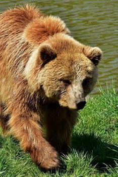 European Brown Bear Journal: 150 page lined notebook/diary