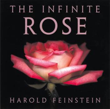 Hardcover The Infinite Rose Book