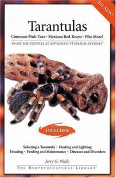 Paperback Tarantulas: Common Pink-Toes, Mexican Red-Knees, Plus More! Book