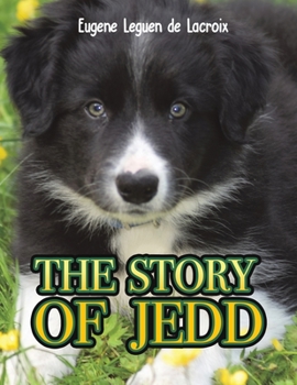 Paperback The Story of Jedd Book