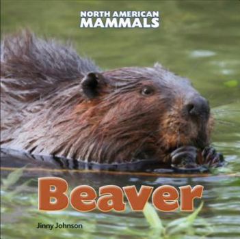 Beaver - Book  of the North American Mammals