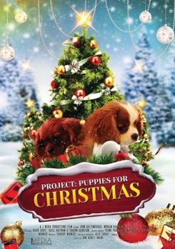 DVD Project: Puppies for Christmas Book