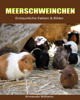 Paperback Meerschweinchen: Erstaunliche Fakten & Bilder [German] Book