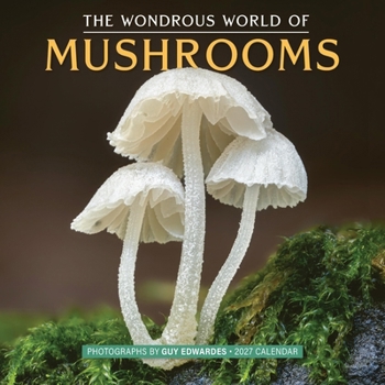 Calendar The Wondrous World of Mushrooms Wall Calendar 2027 Book