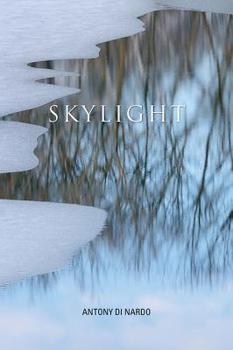 Paperback Skylight Book